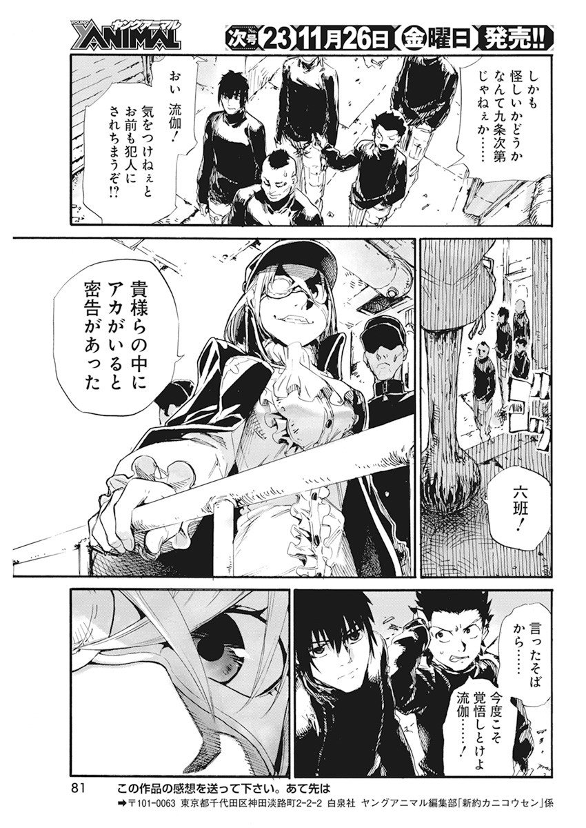 P23