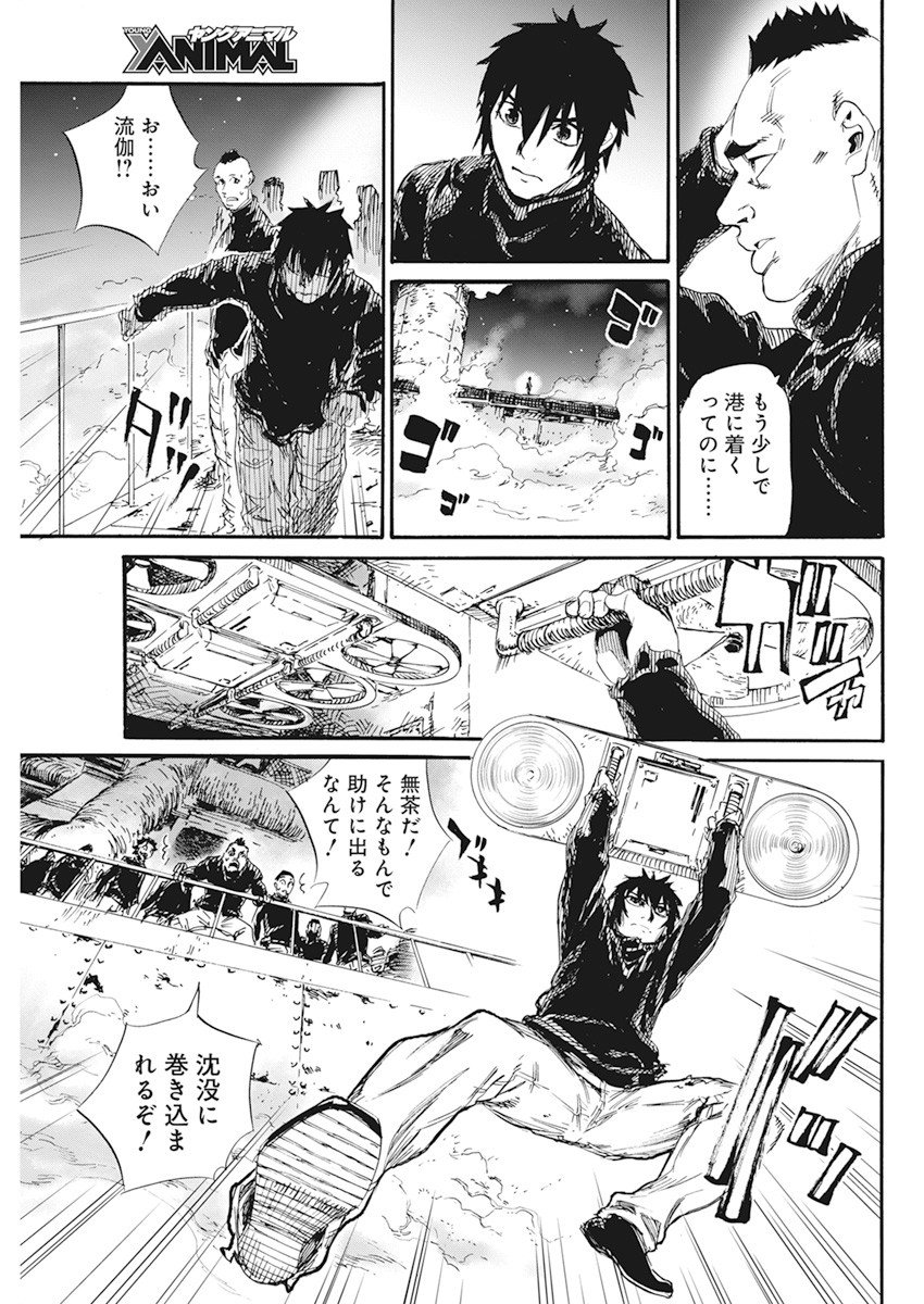 P19