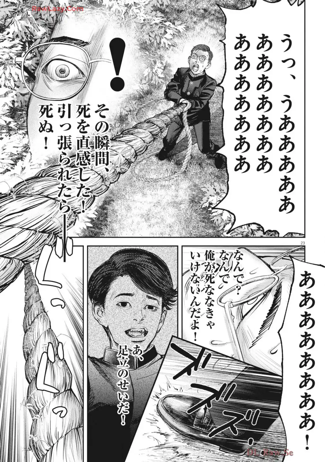 P23