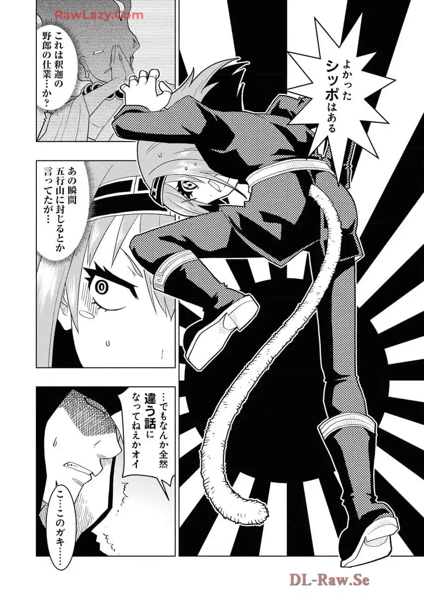 P26