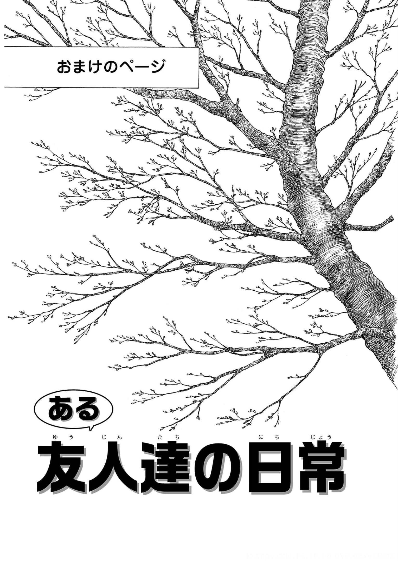 P37