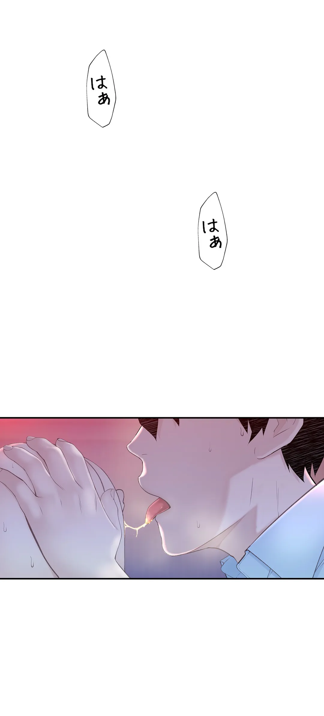 P24