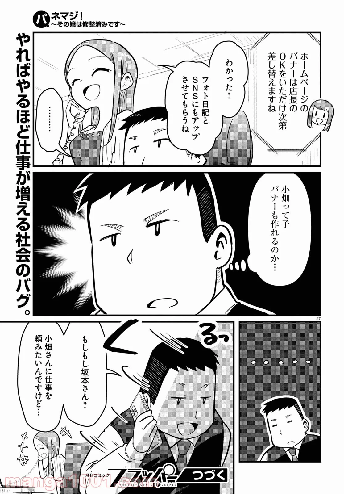 P27