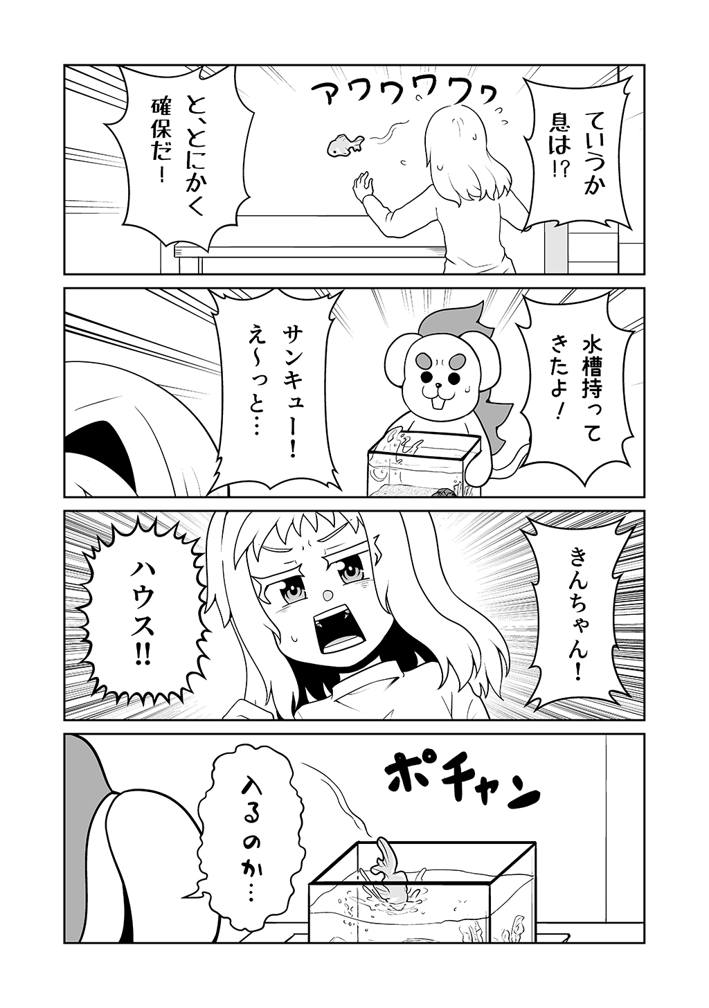 P27