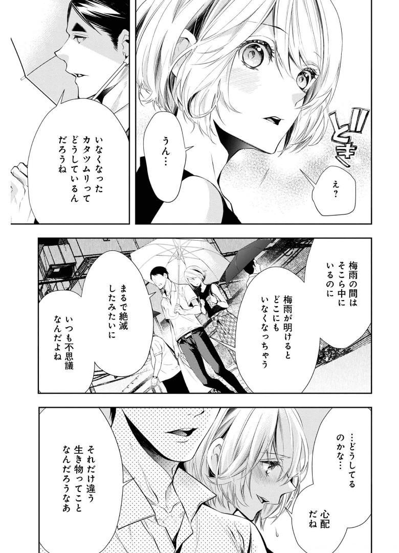 P41