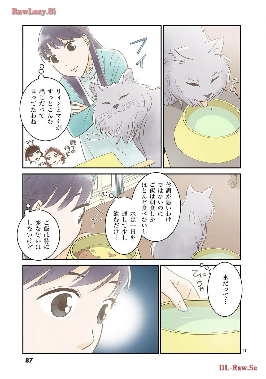 P11