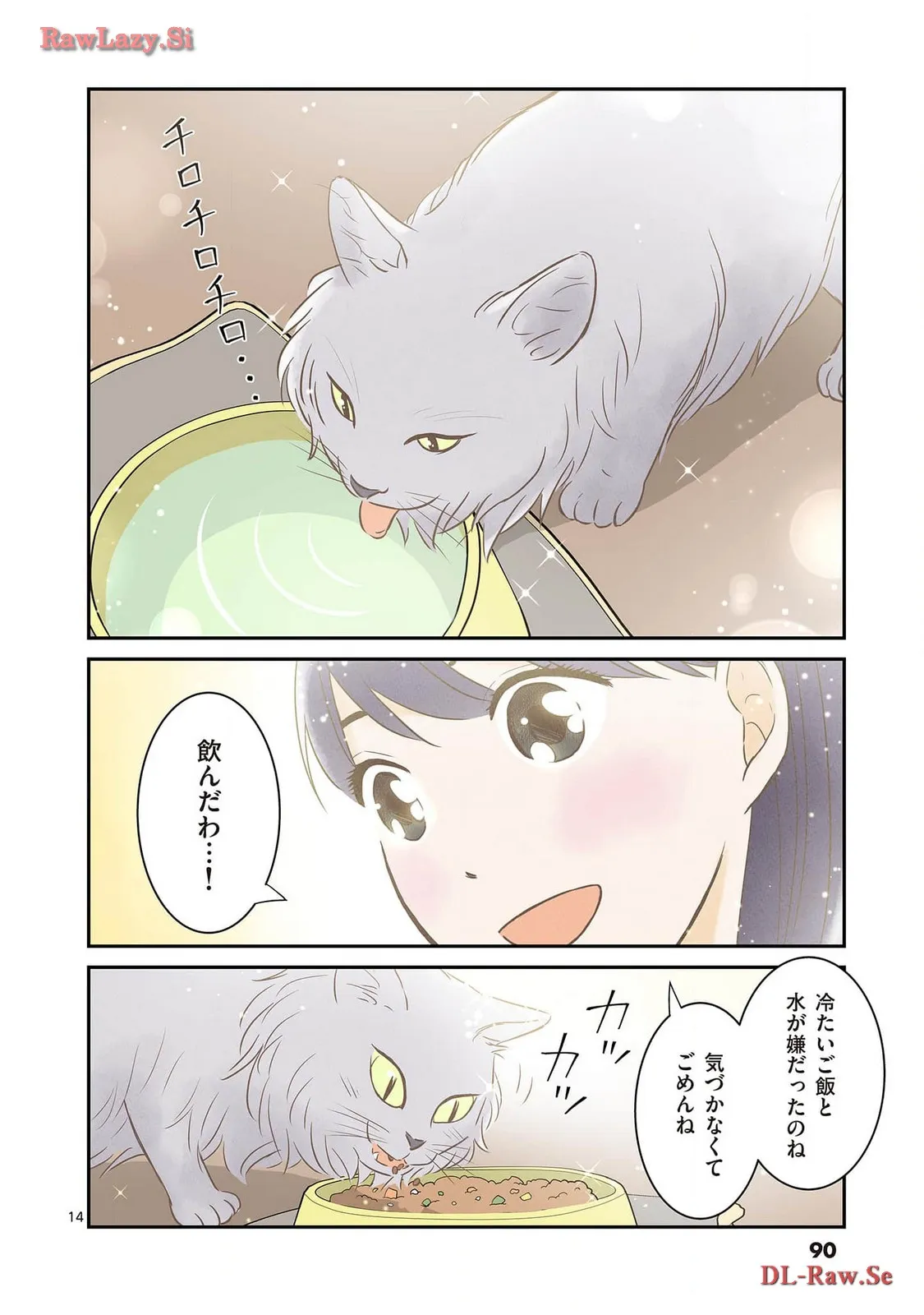 P14