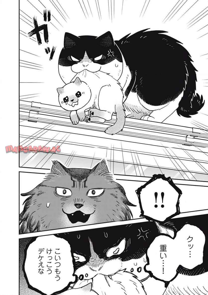 P6
