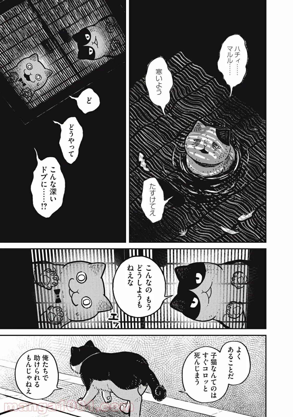 P7