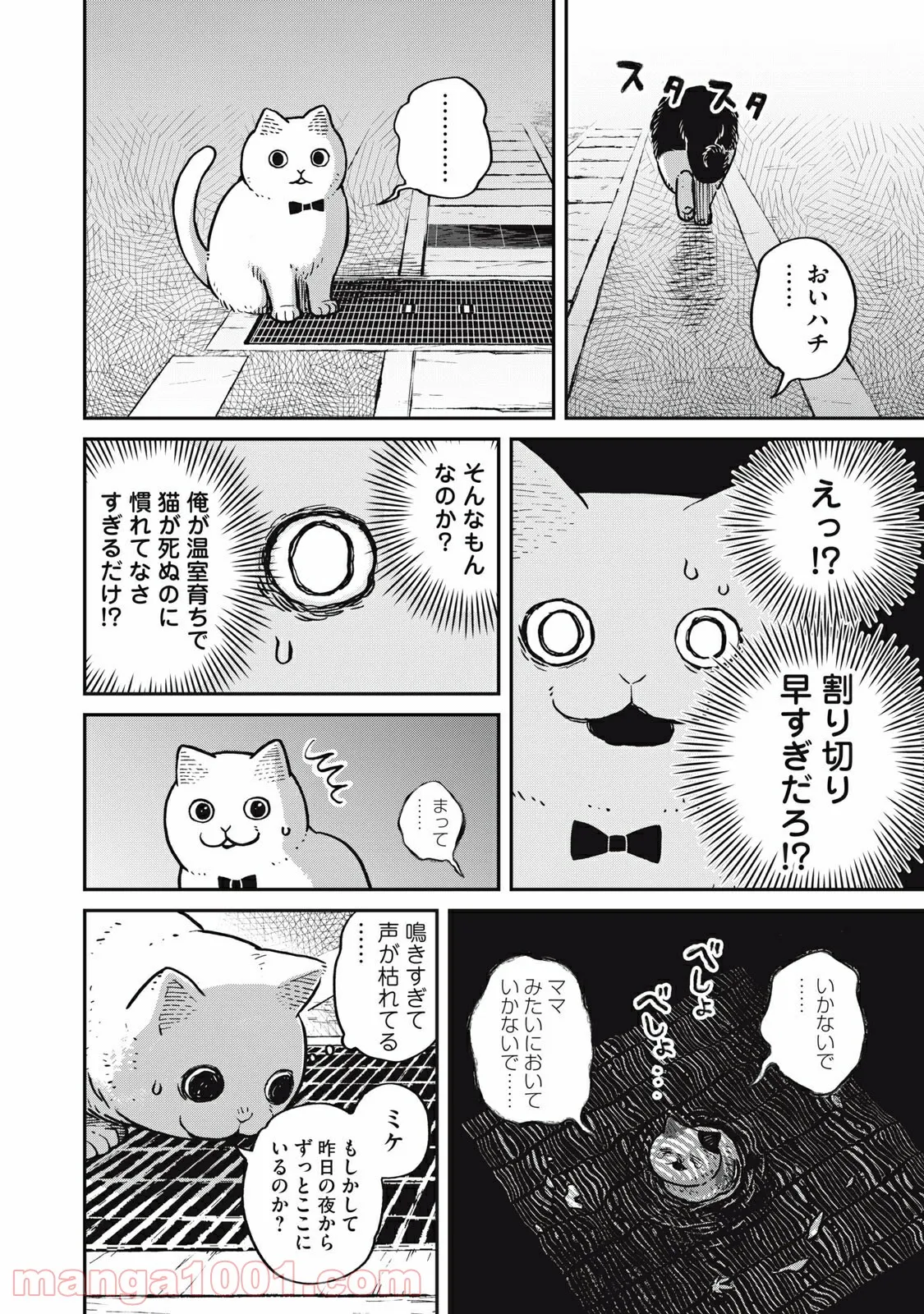 P8
