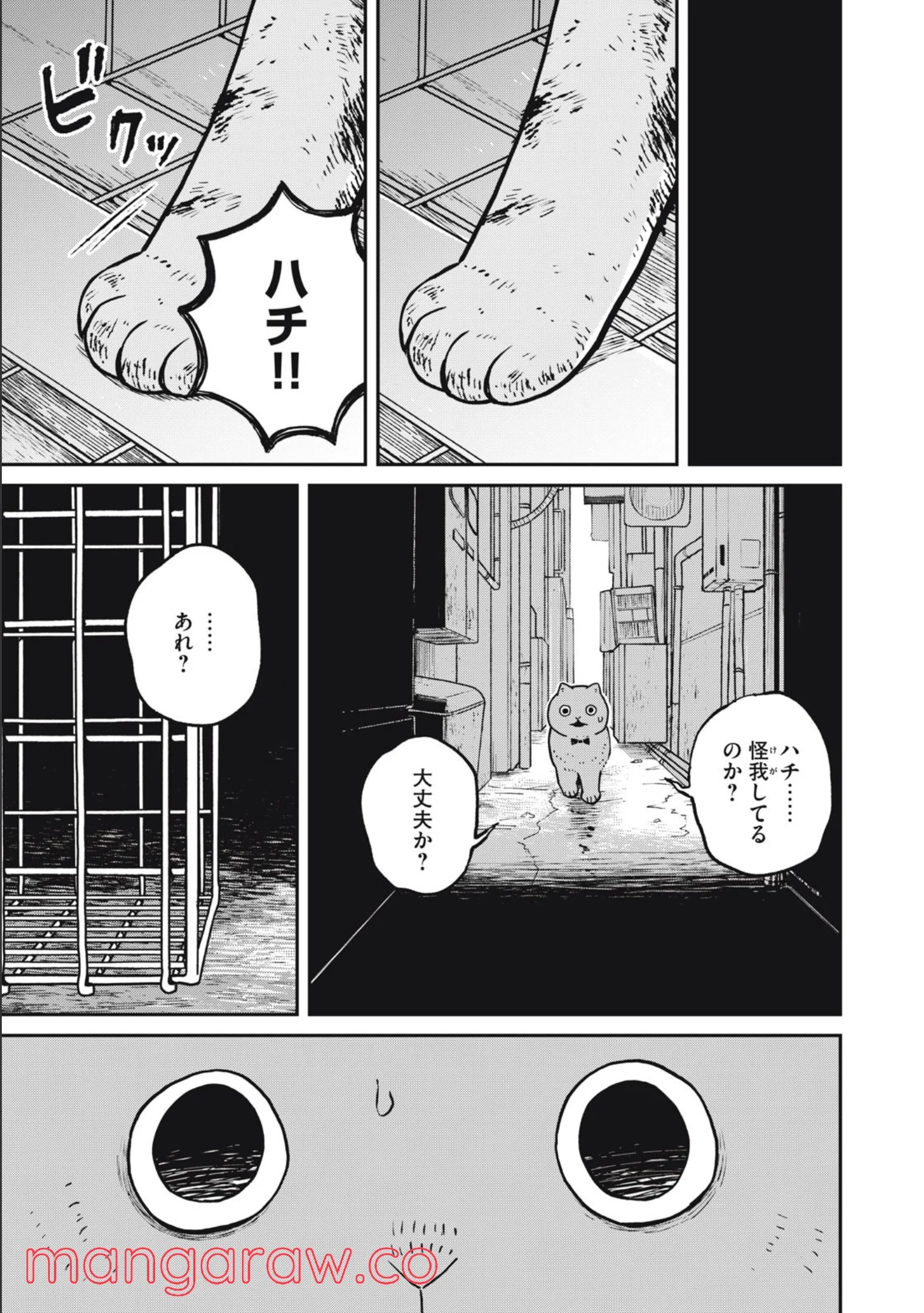 P11