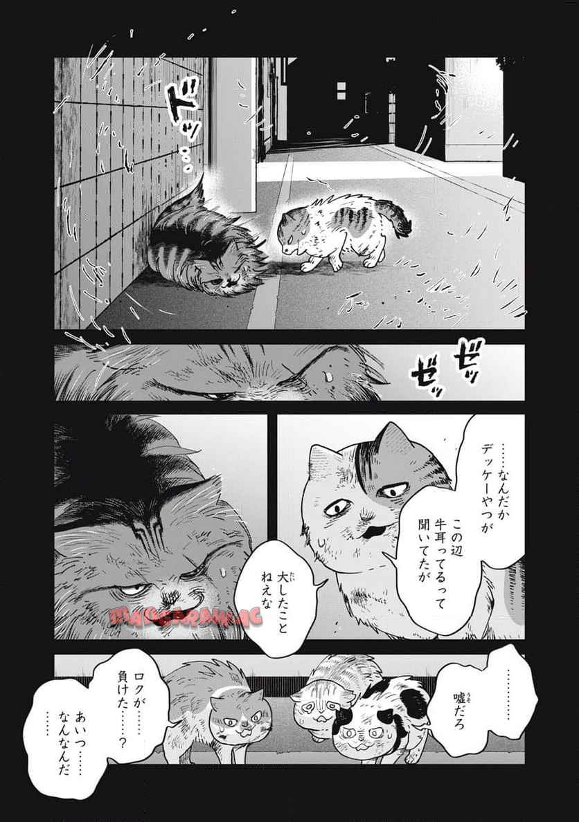 P11