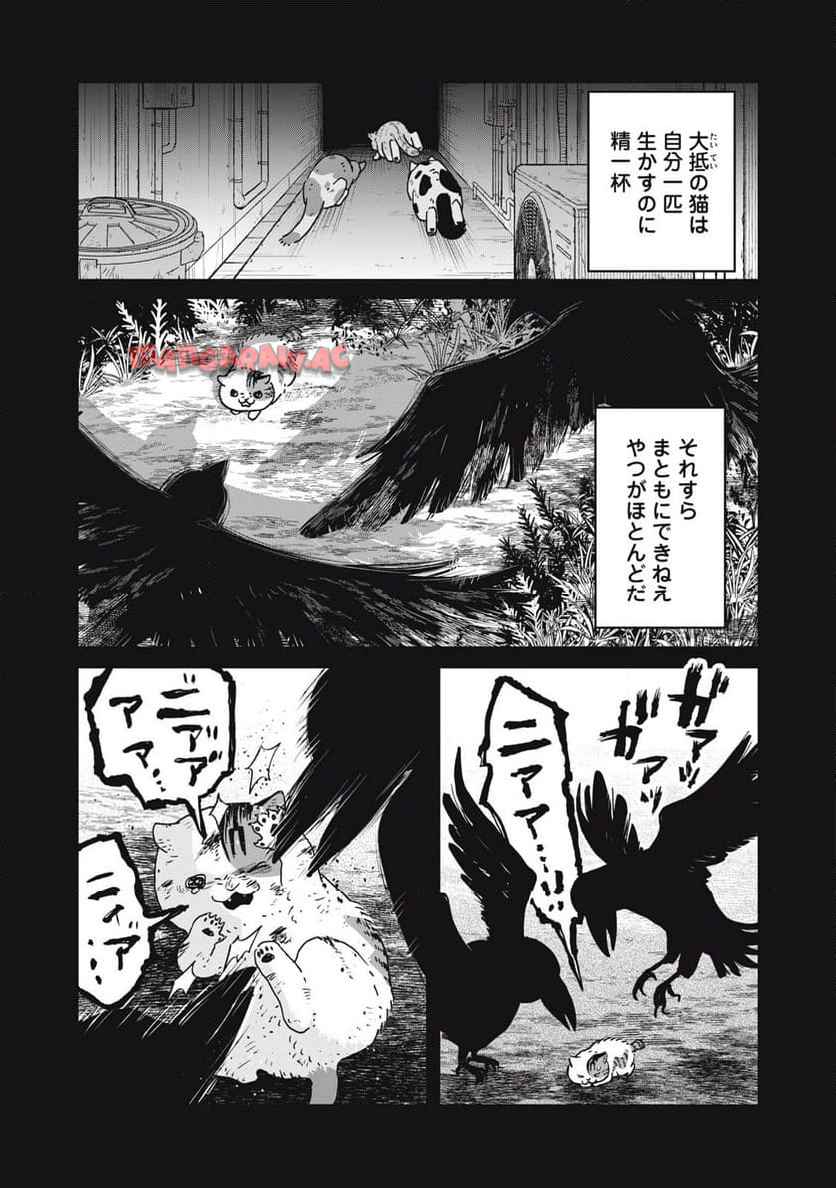 P8