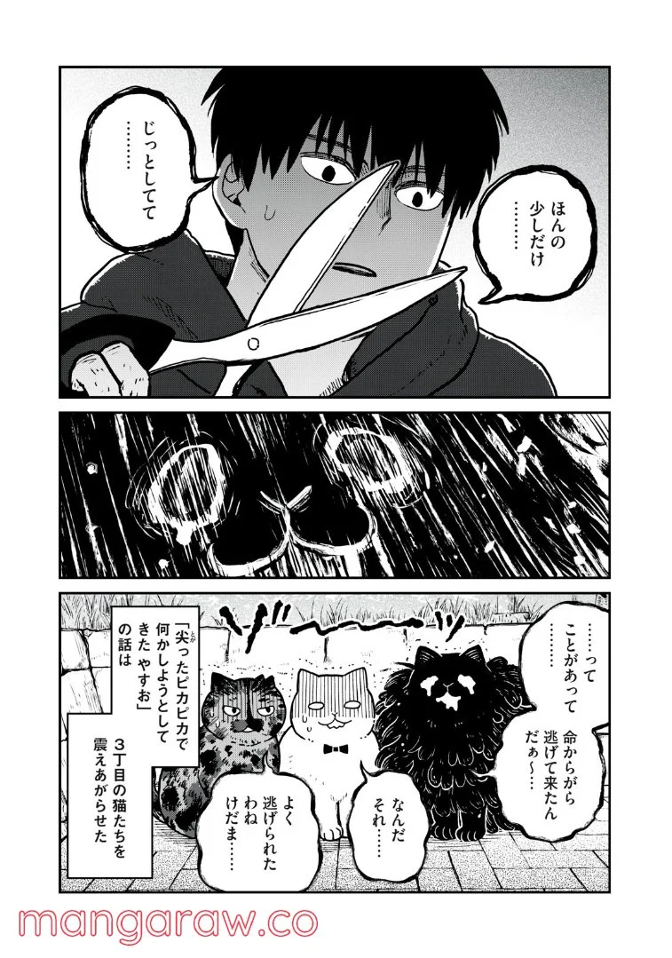 P14