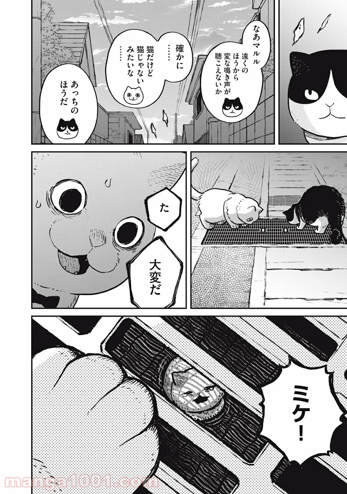 P27