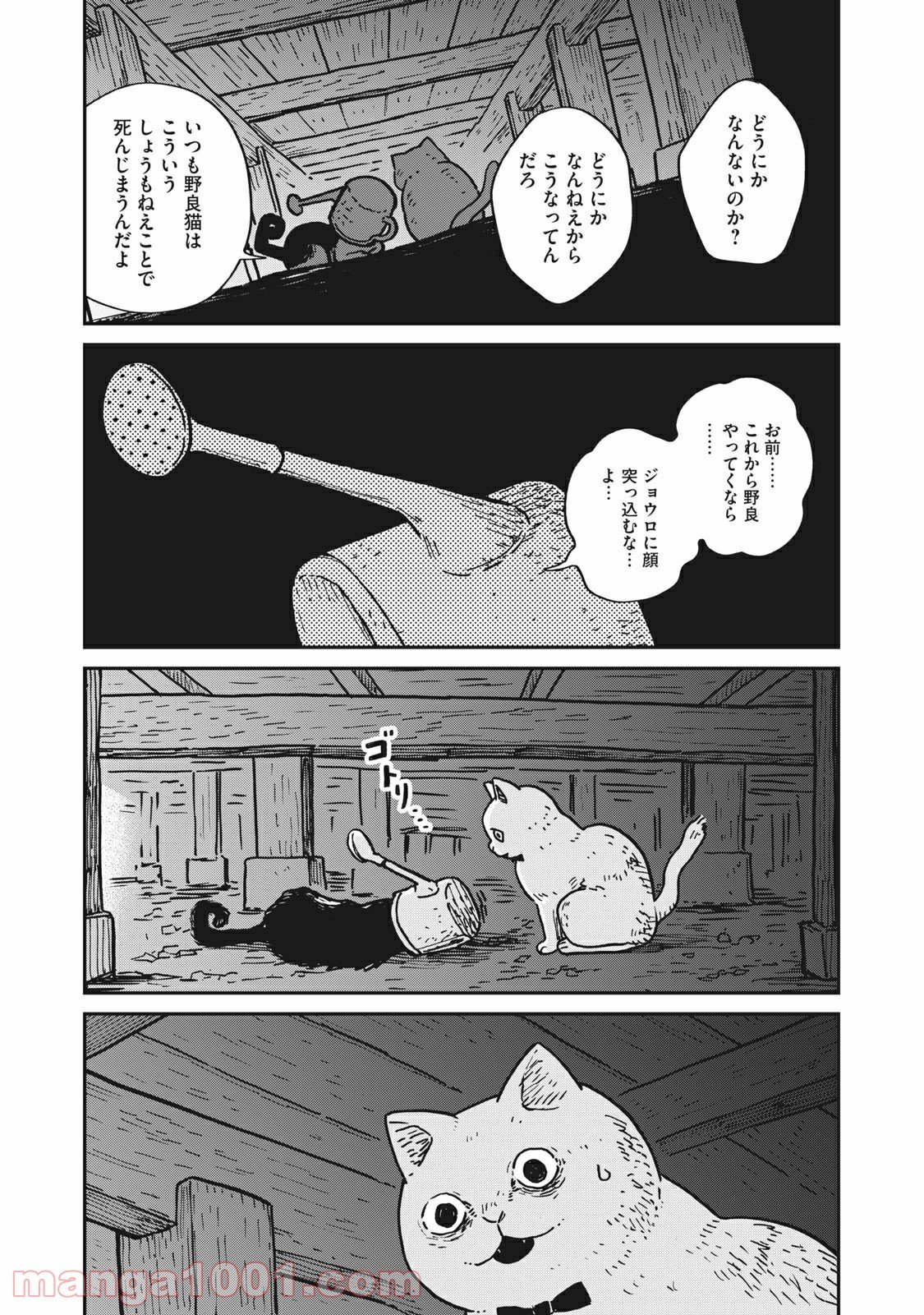 P20
