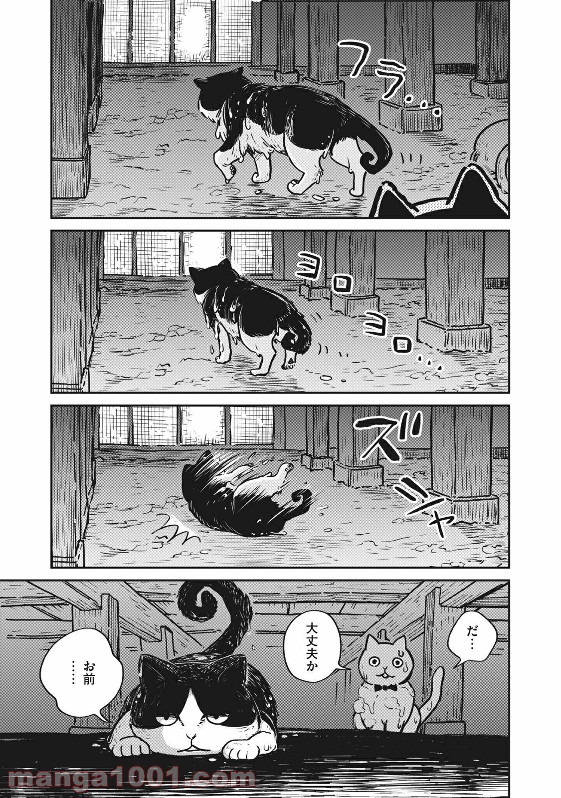P29