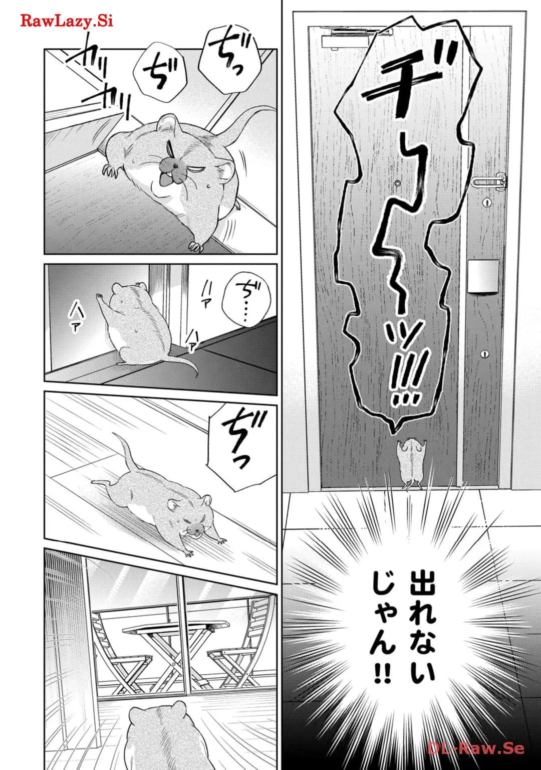 P42