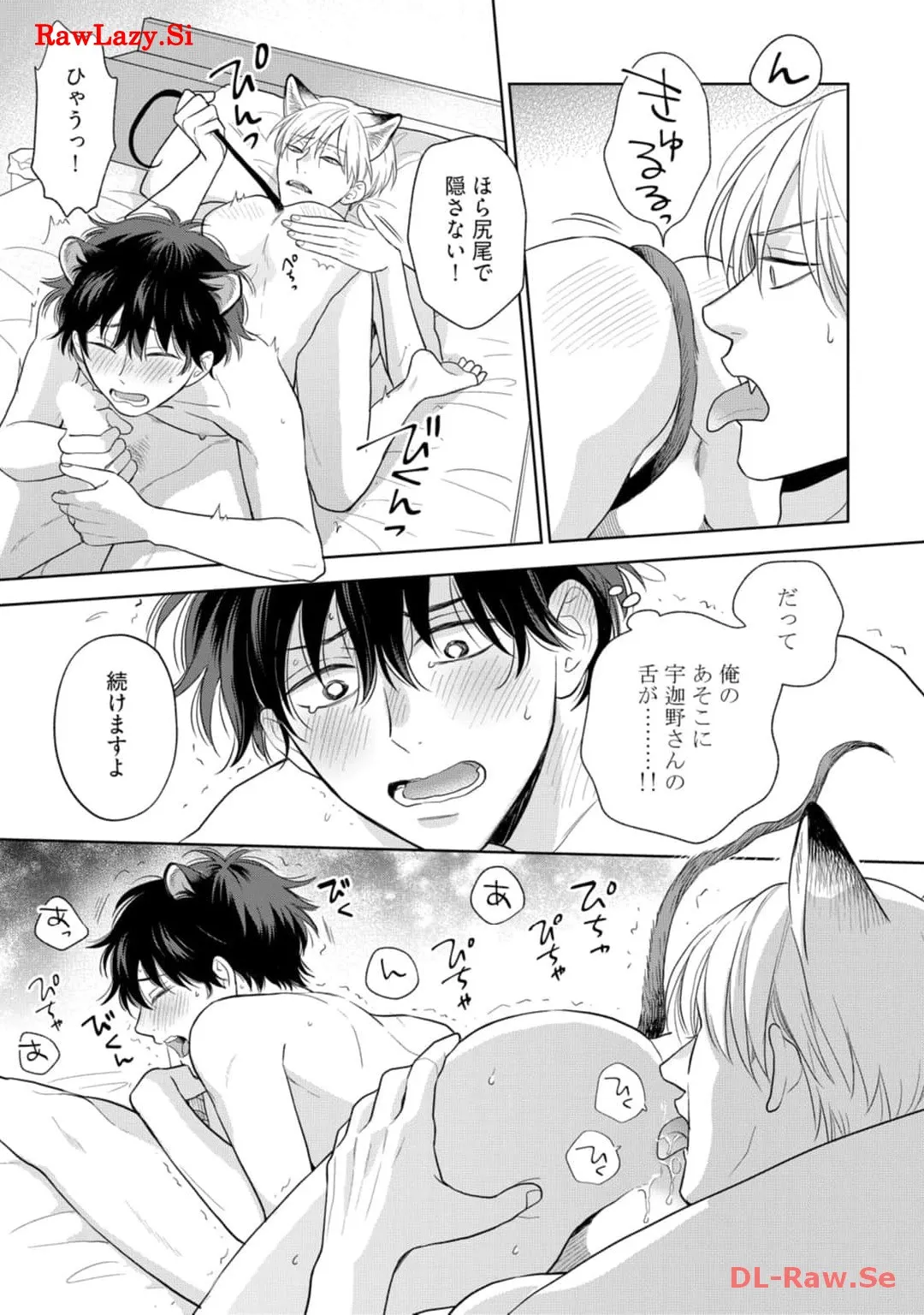 P65