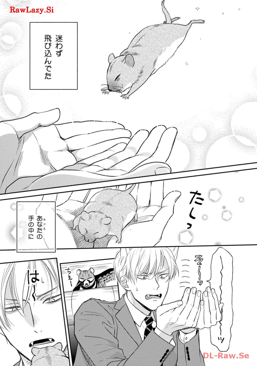 P27