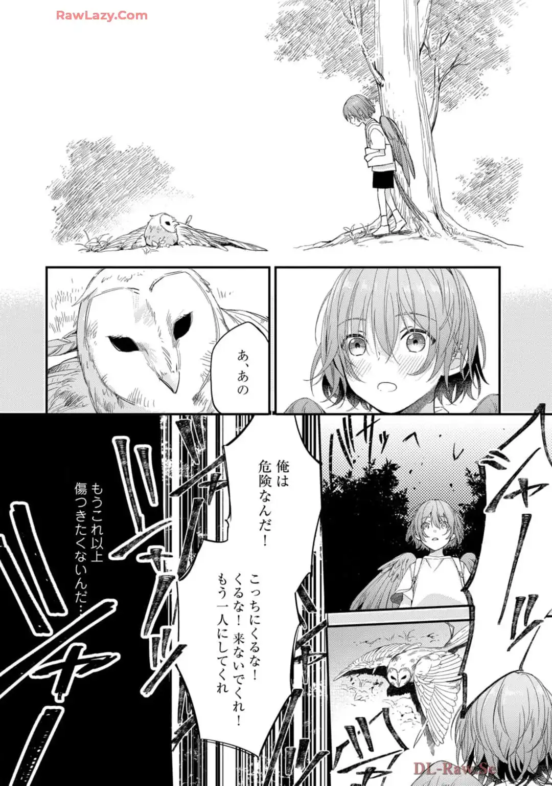 P27