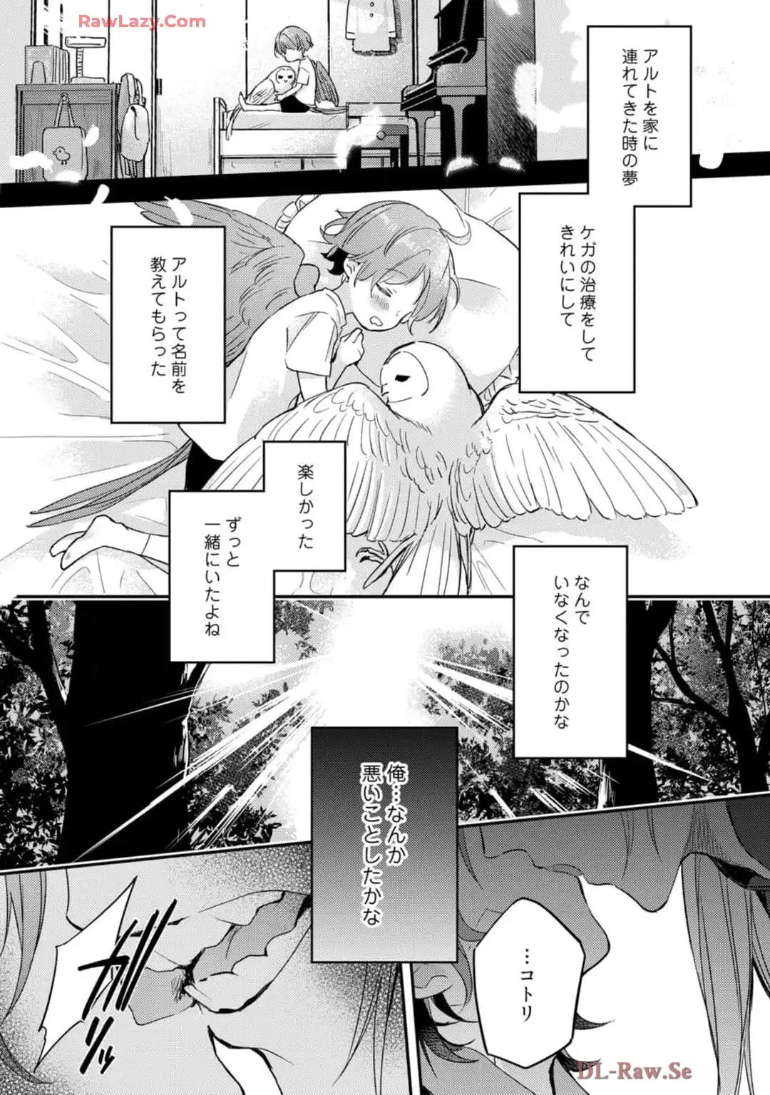 P27