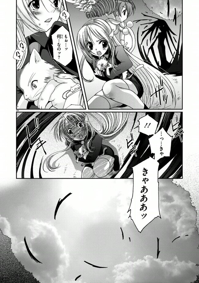 P24