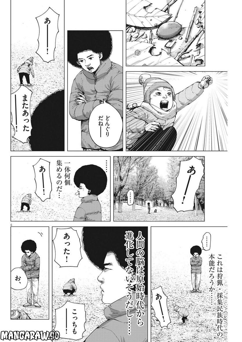 P6