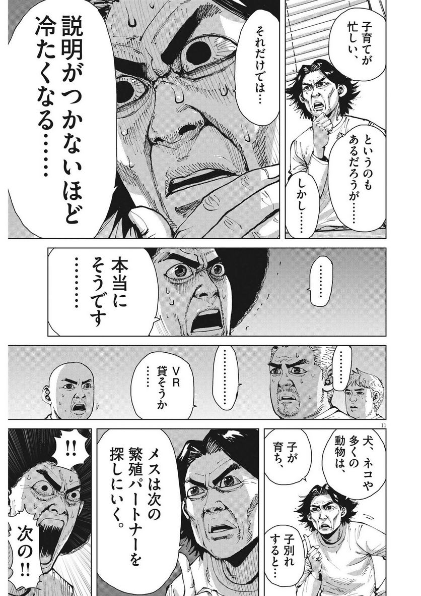 P11