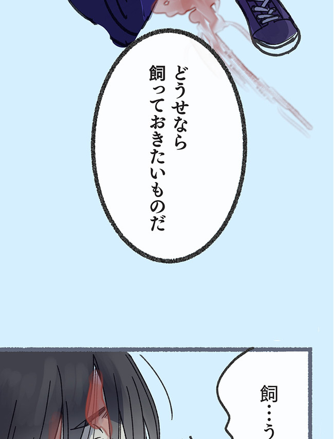 P58