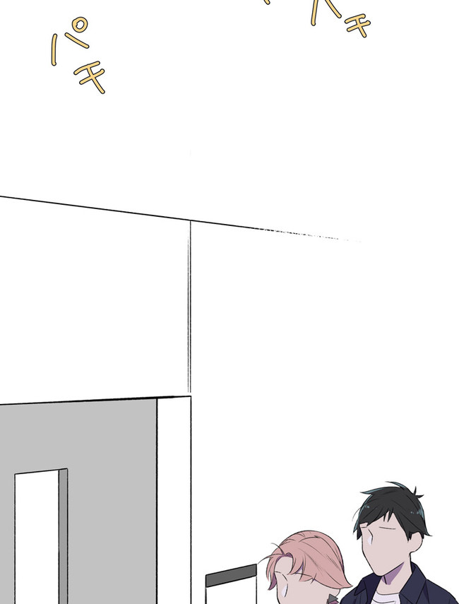 P66