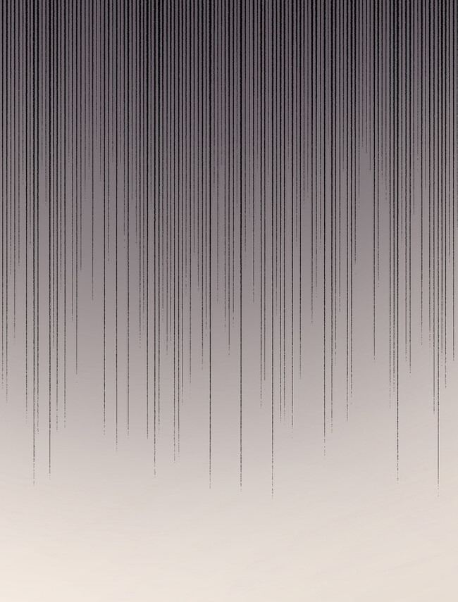 P58