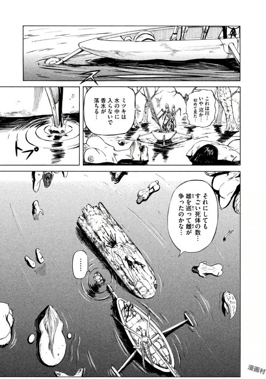 P41
