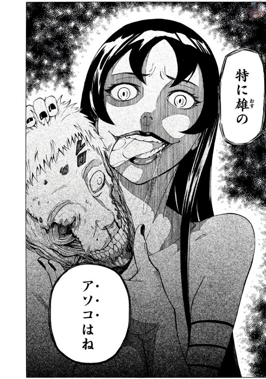 P24