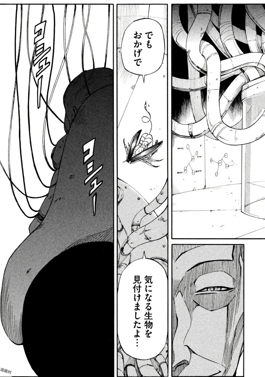 P29