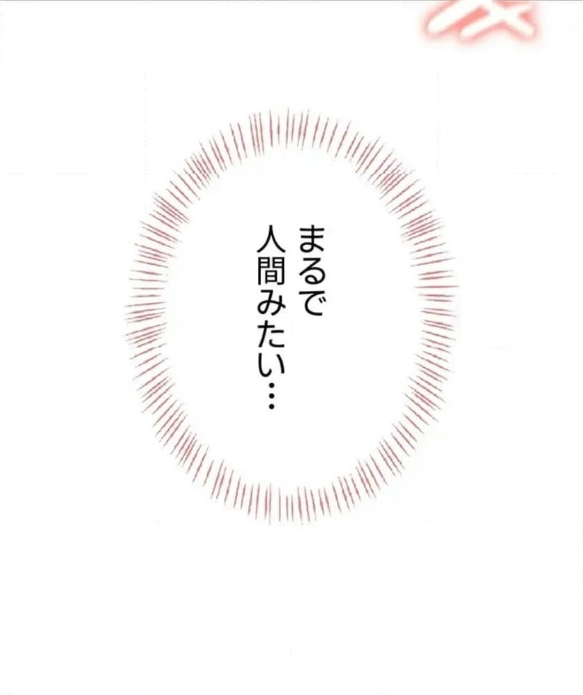 P61