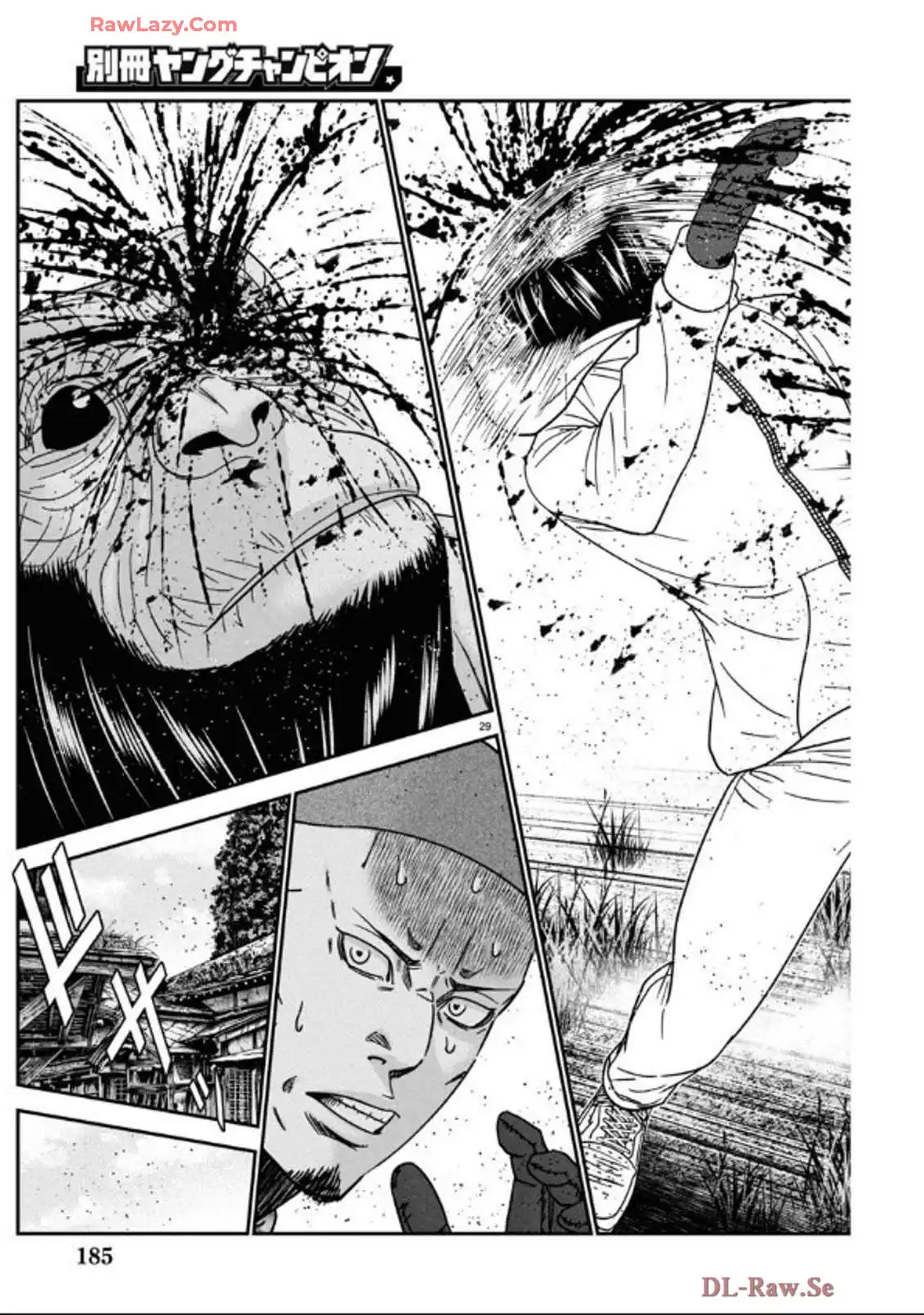P29