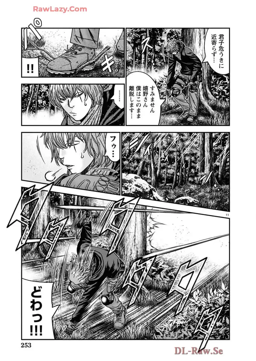 P11