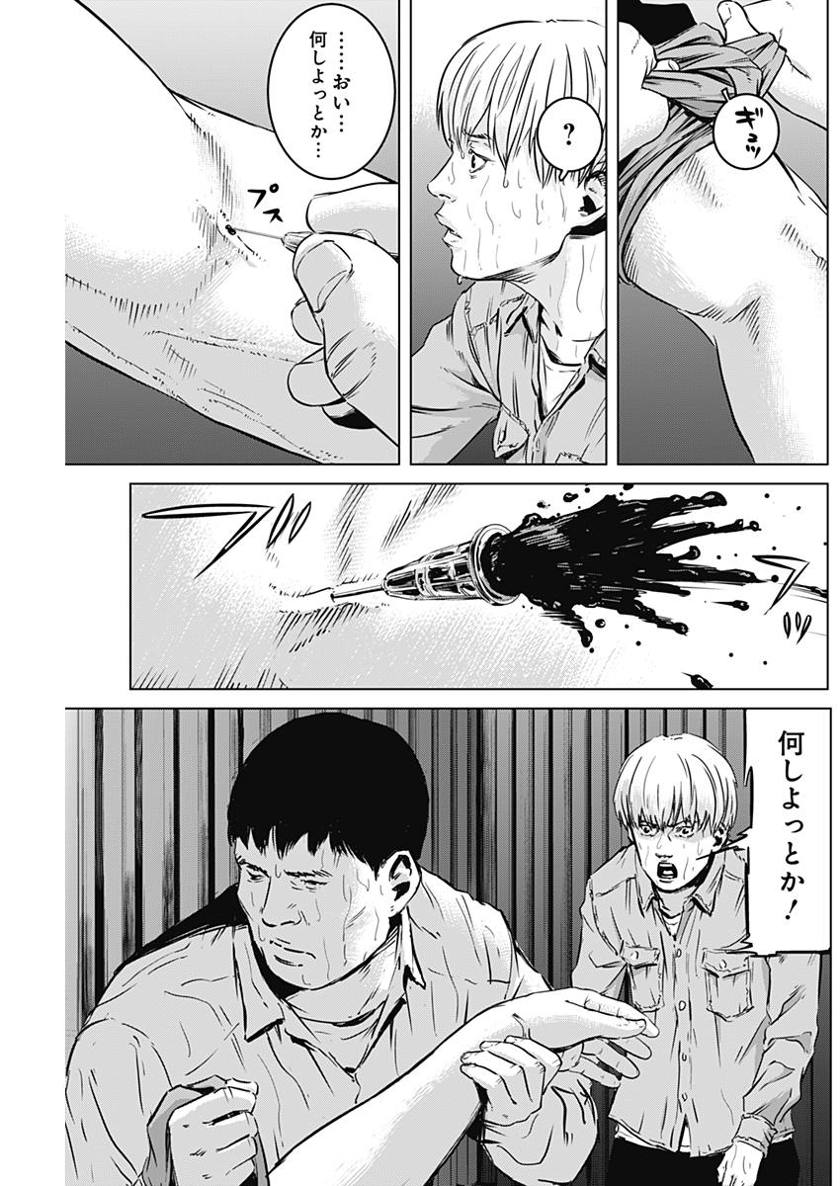 P11