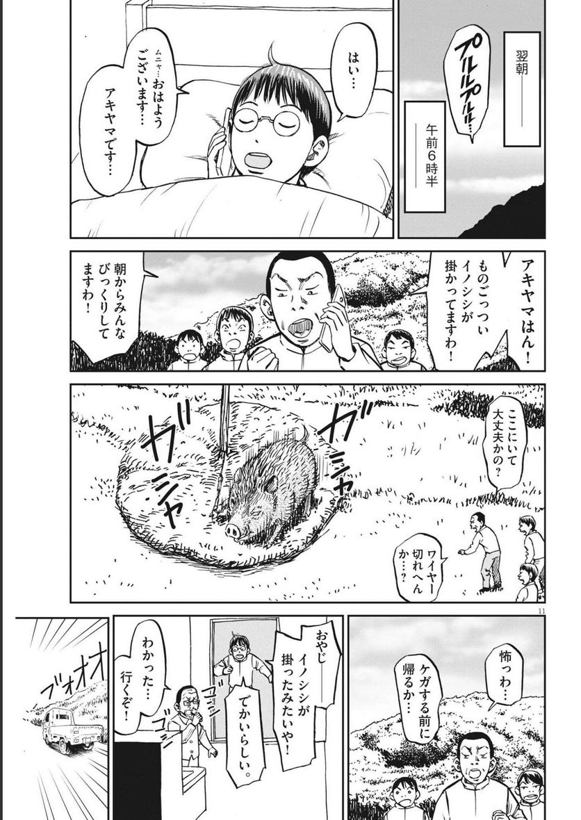 P11