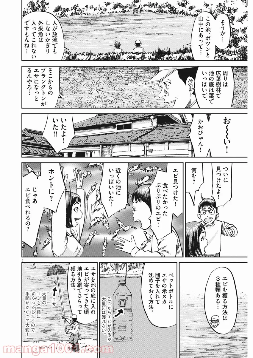 P6