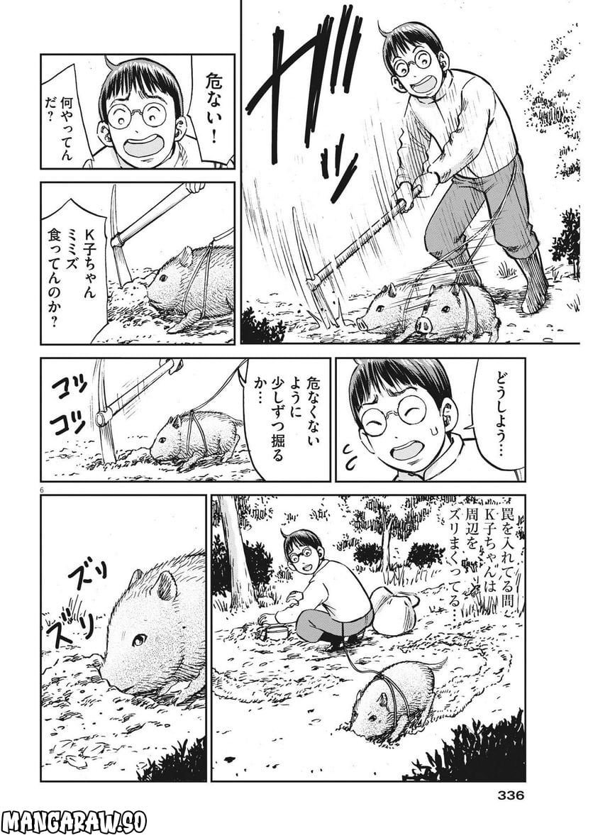 P6