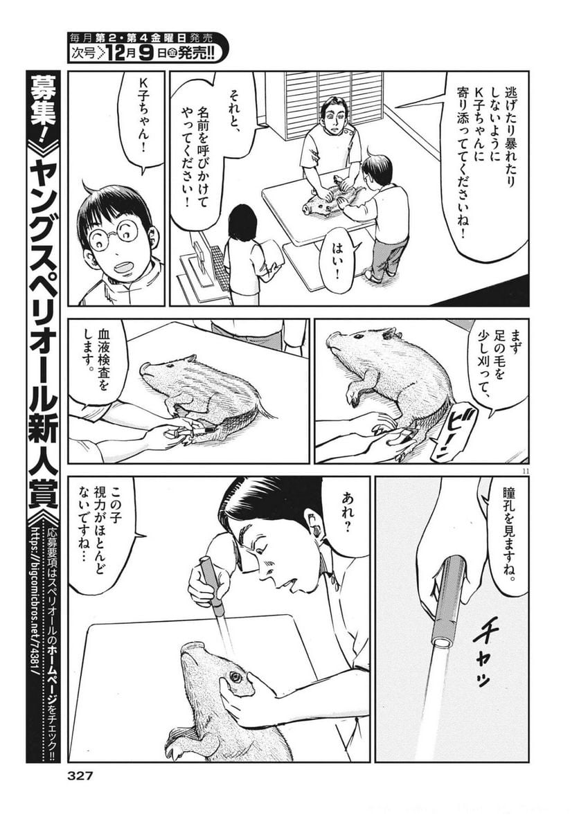 P11