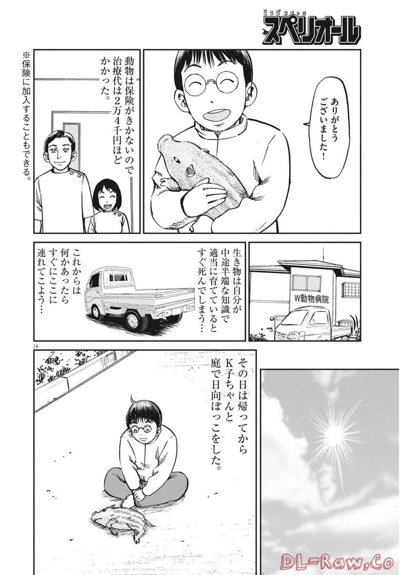 P16