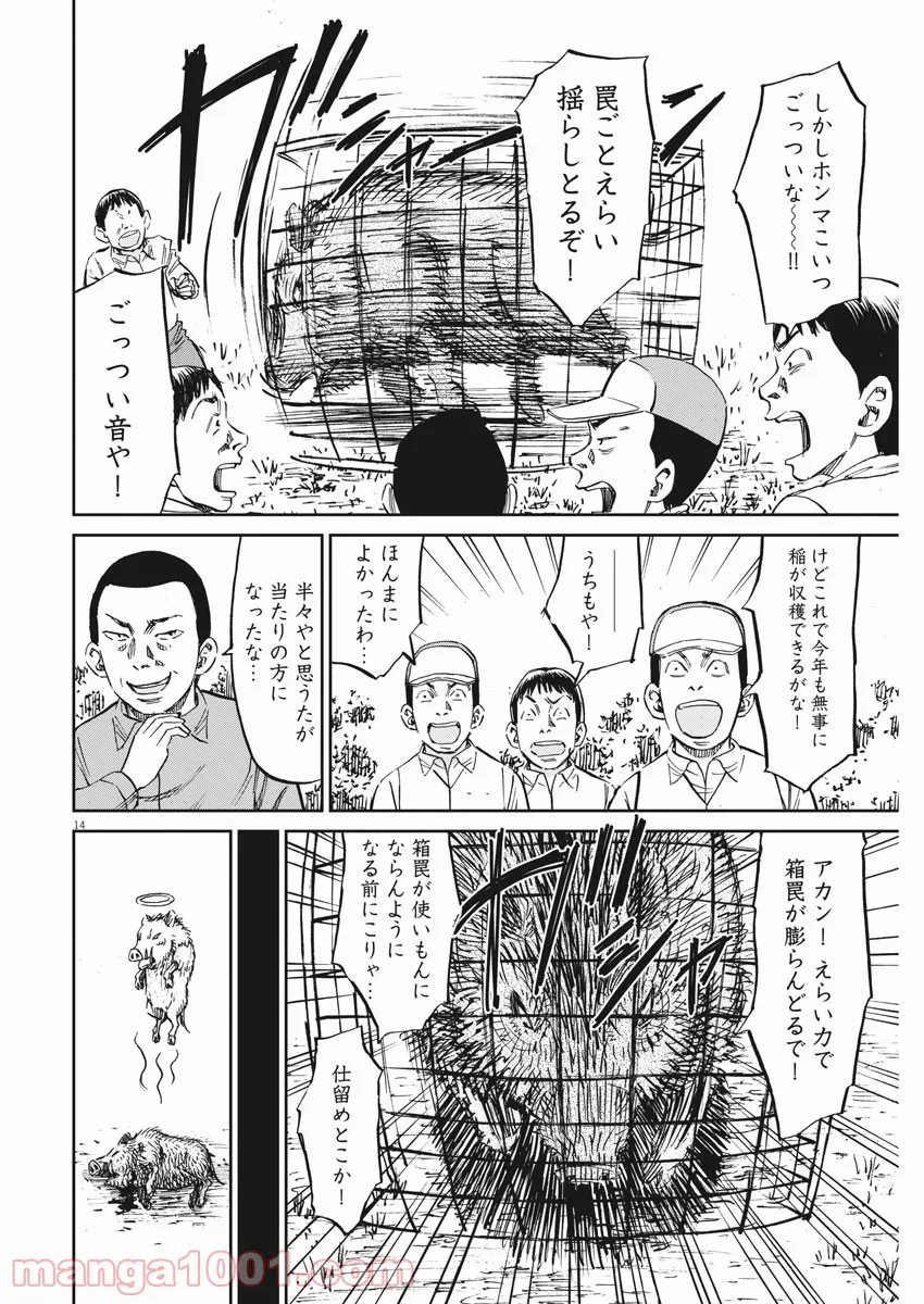 P14