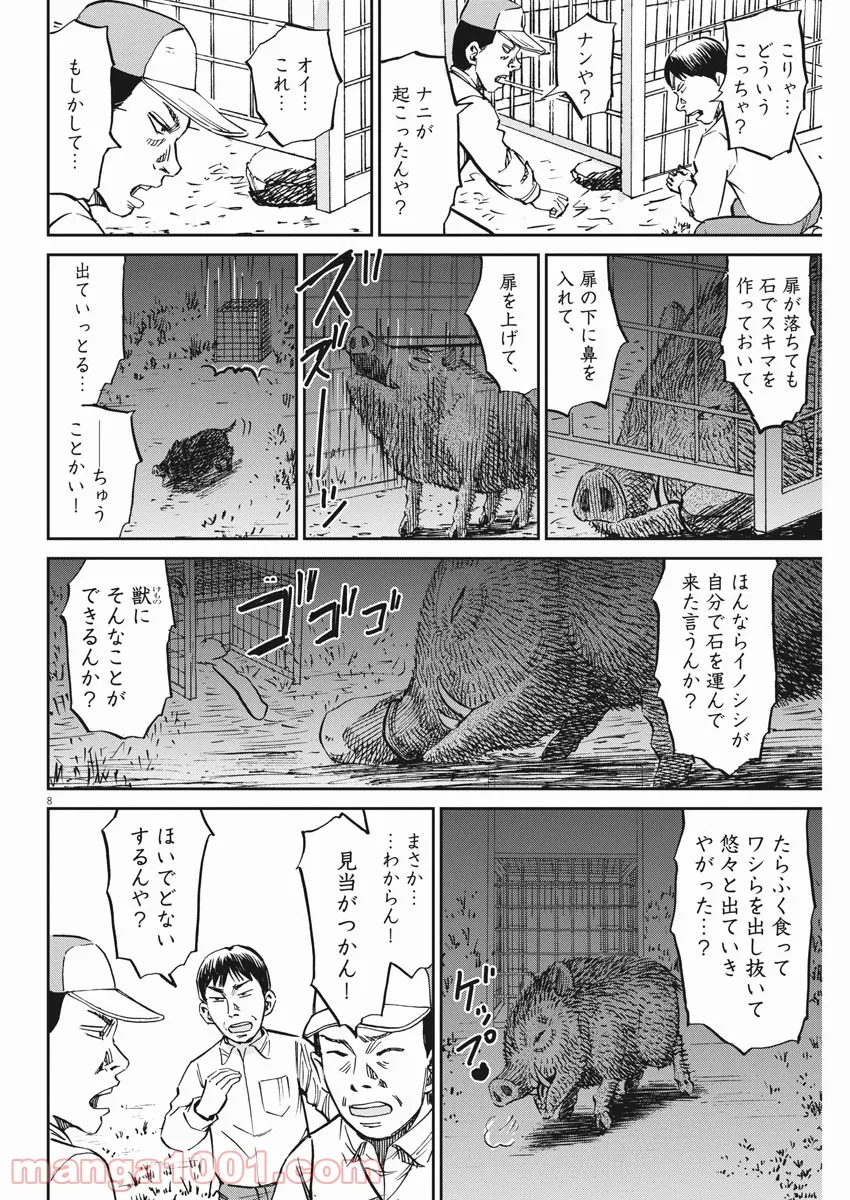 P8