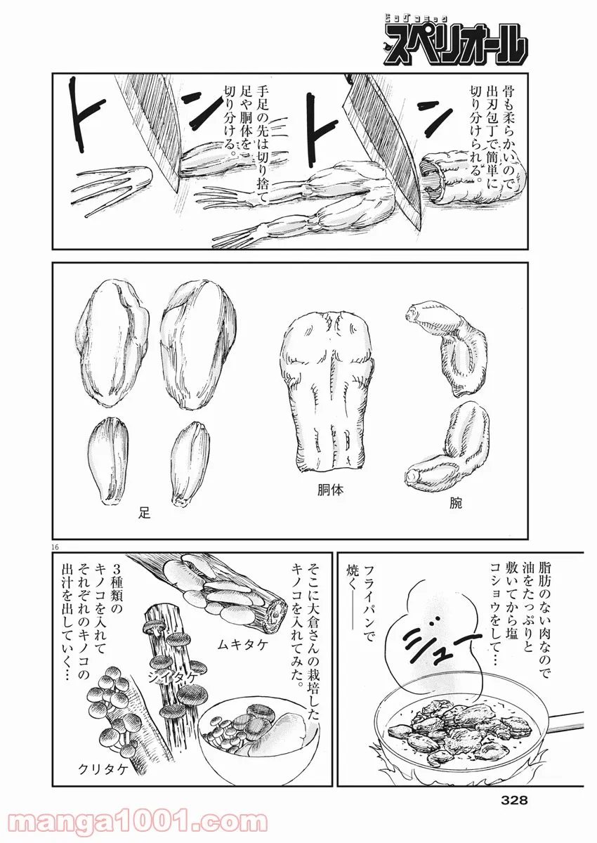 P16