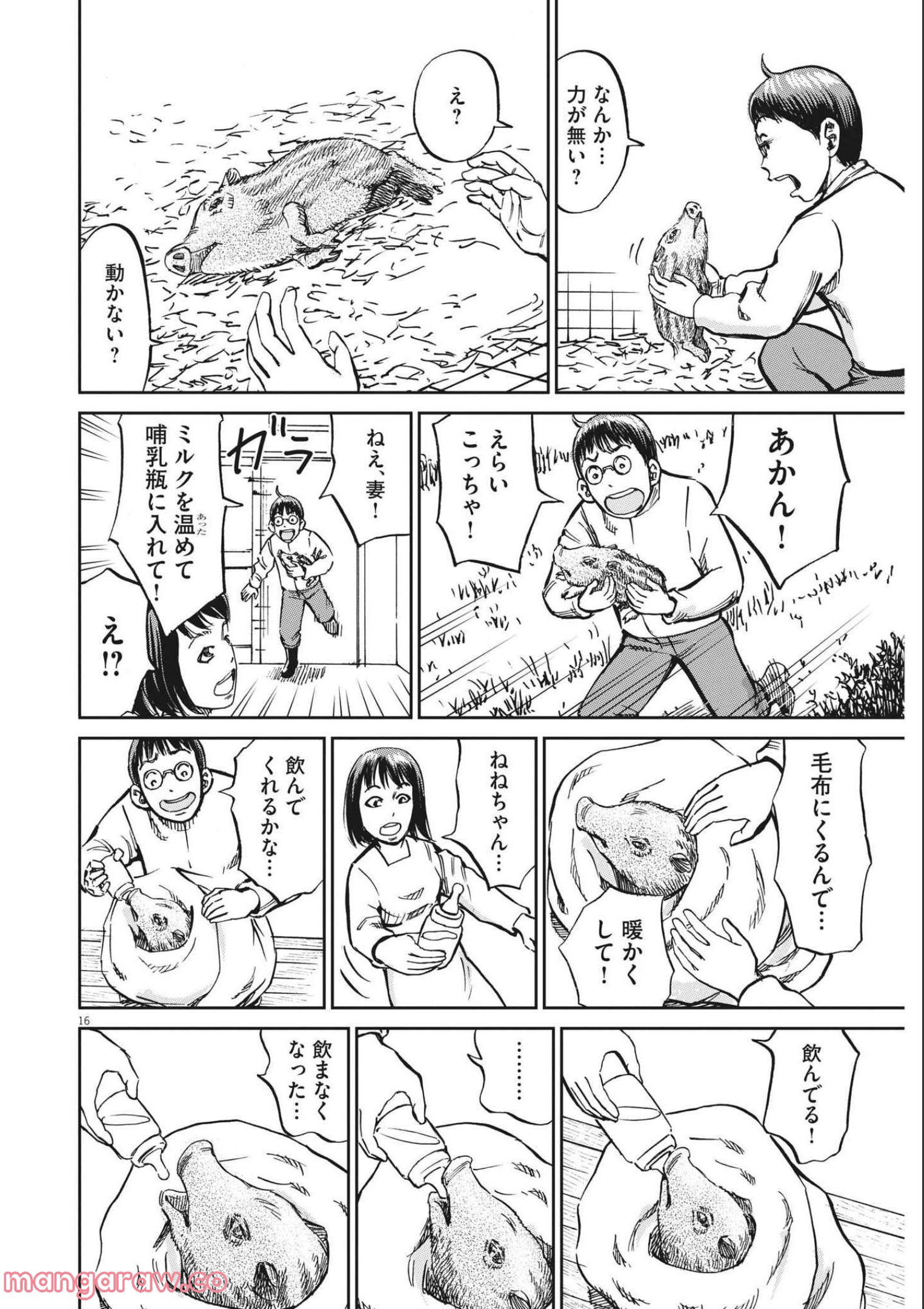 P16