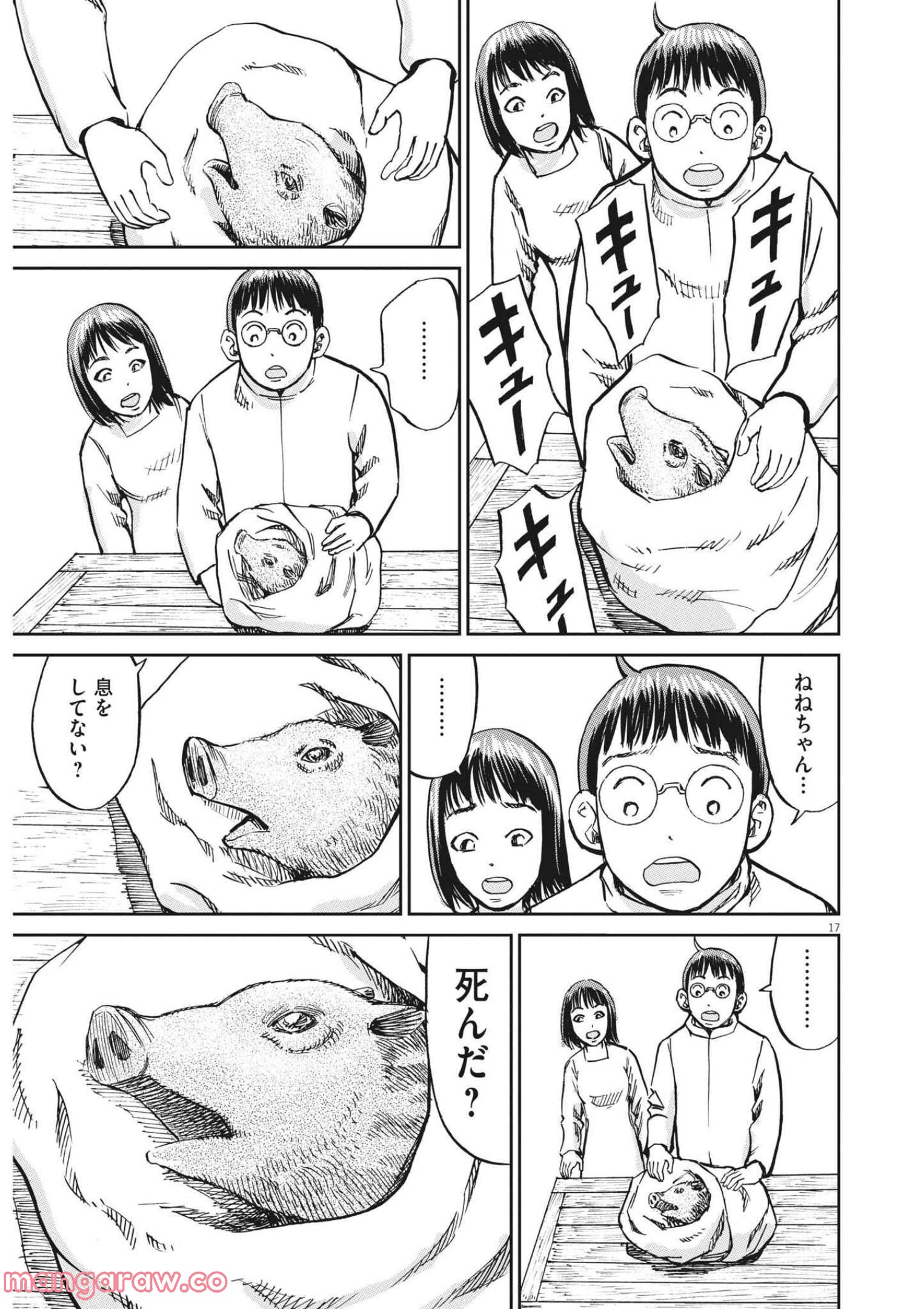 P17