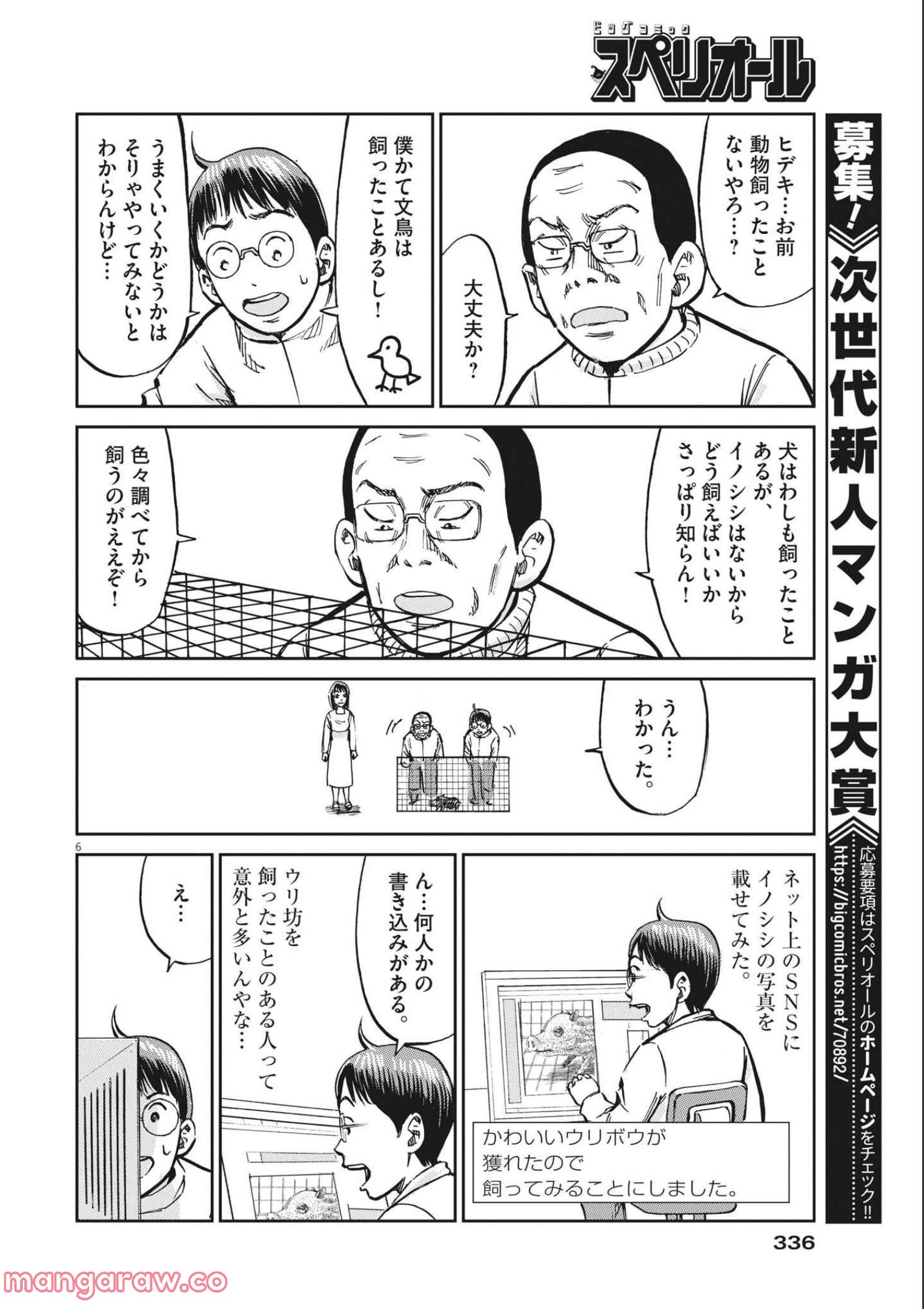 P6